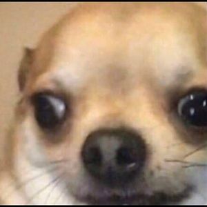 Meet your Posher, Ileana